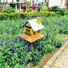 �������ι���